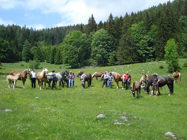 DSC00120