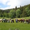 DSC00117