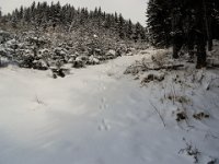 001-Spuren im Schnee
