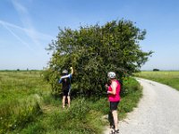 009 kurzer Imbiss beim Kricherlbaum