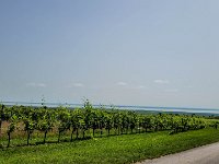 070 Abfahrt mit Blick Neusiedlersee