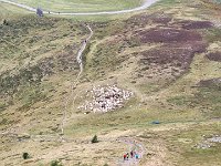 039 bei schlechter werdendem Wetter hat der Schaefer seine Schafe eingsperrt